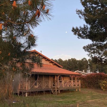 Le Gite De L'Aerogrange Biscarrosse Esterno foto
