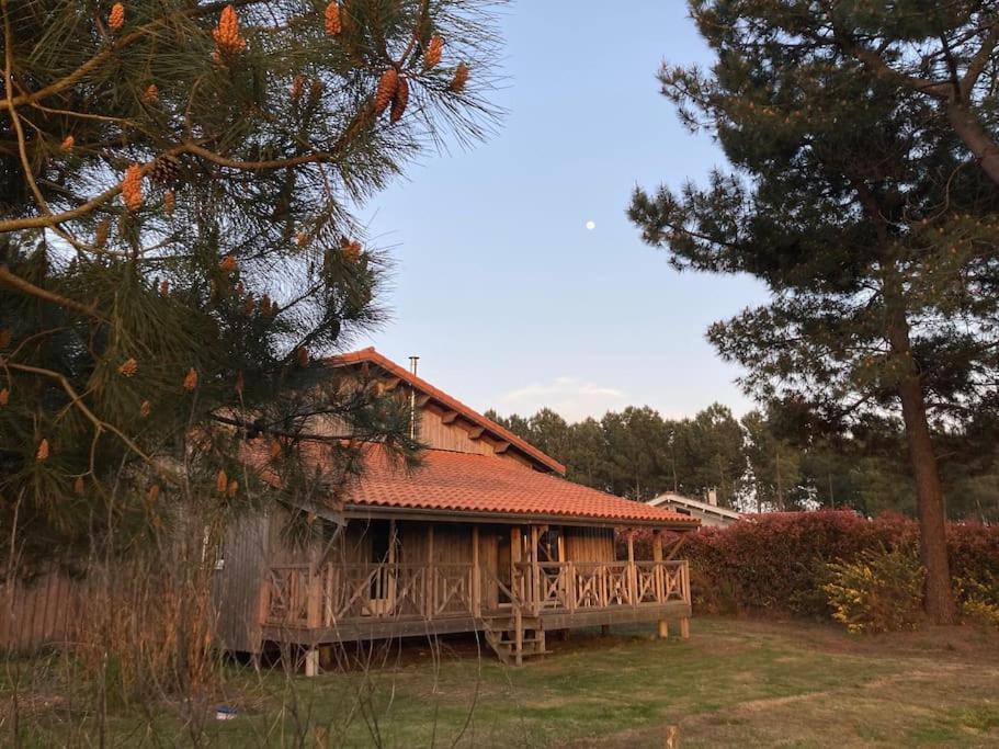 Le Gite De L'Aerogrange Biscarrosse Esterno foto